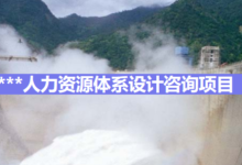 人力资源体系设计咨询项目汇报（完整版）|爱分享