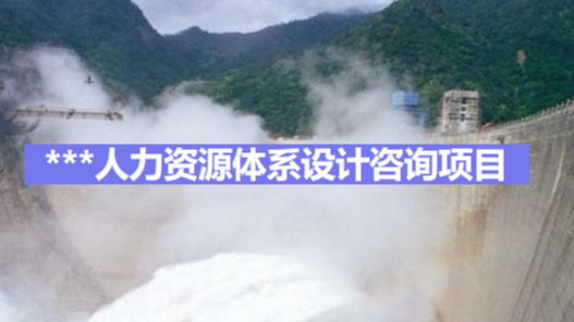 人力资源体系设计咨询项目汇报（完整版）插图