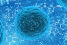 某医药零售企业4.0战略规划项目成果(P205)超级干货|爱分享