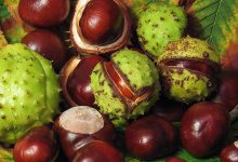 德钦-某工业集团核心人才供应链模式设计(可编辑可转换PDF)|爱分享