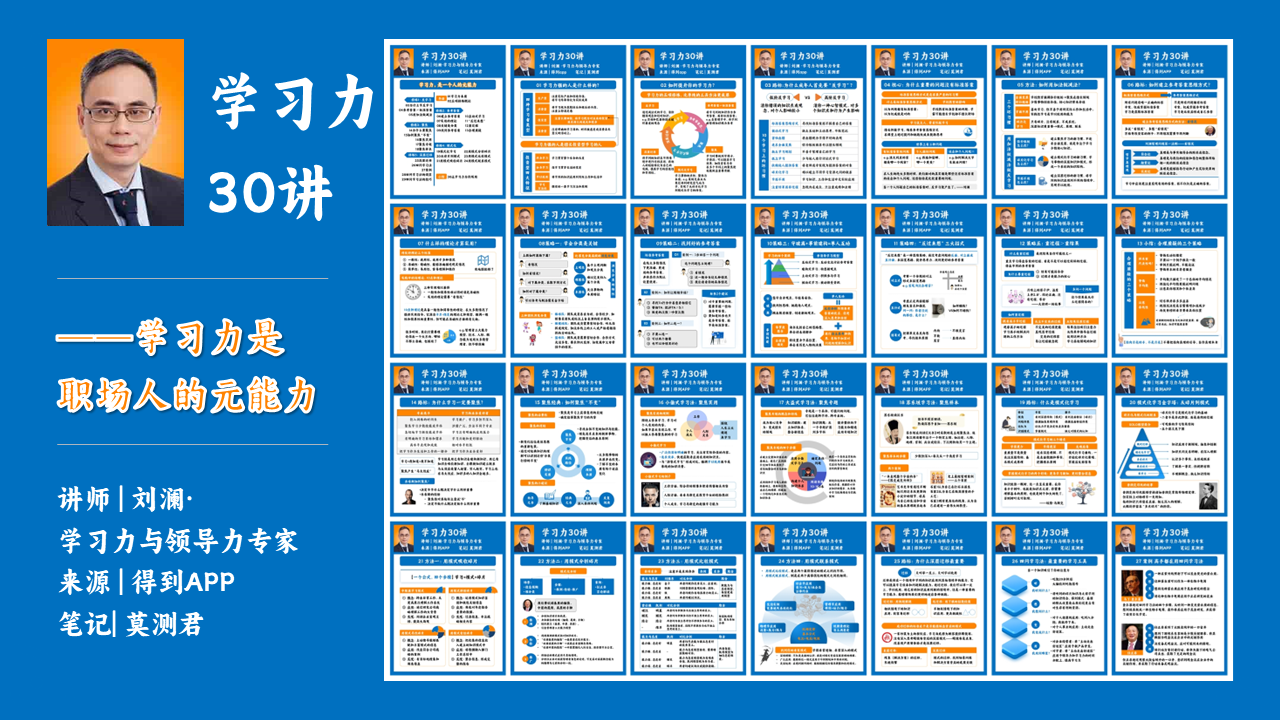 【得到课程】刘澜学习力30讲，学习力是职场人的元能力插图